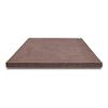 Oud Hollandse tegel zonder facet, gewapend  100x100x5 Roodbruin