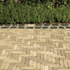 WF60 Terra Gromo Antica