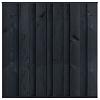 Tuinscherm Rosenheim, zwart gespoten grenen, RVS-geschroefd, 11-planks 180x180 cm