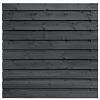 Tuinscherm Kassel, zwart gespoten vuren, RVS-geschroefd, 21-planks (19+2) 180x180 cm