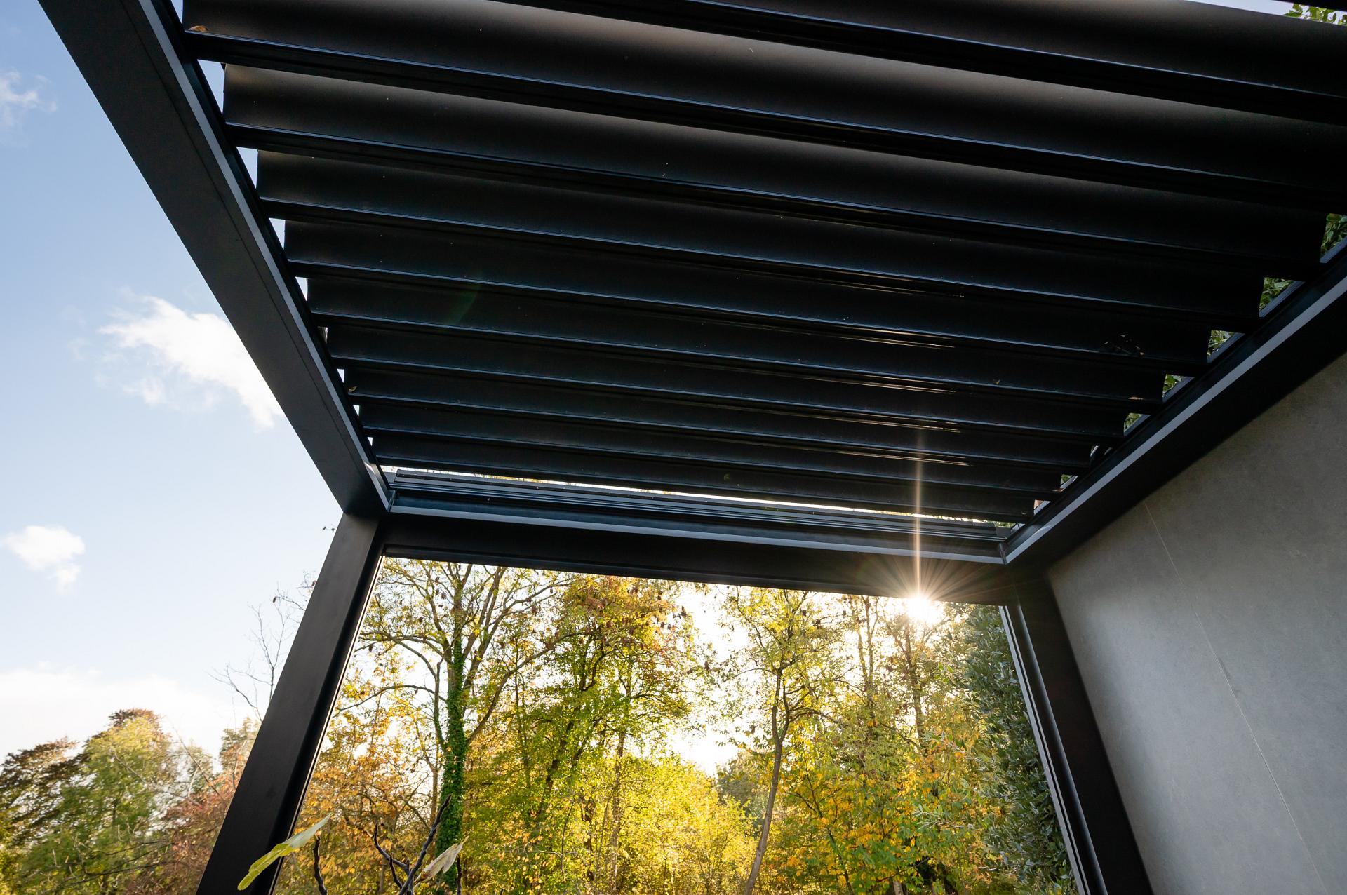 aluxeulatraline cornels leerdam gb 20251024 078 lr