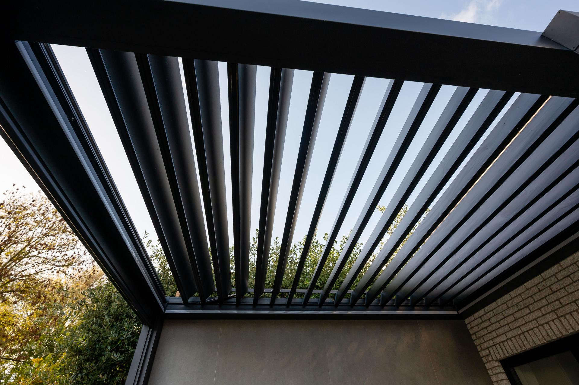 aluxeulatraline cornels leerdam gb 20251024 077 lr