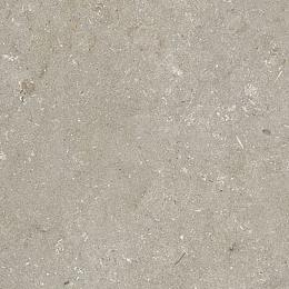 Keramische tegel Shellstone Taupe 60x60x3 cm