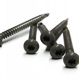 Rvs schroef met gekleurde top voor ntw castellation pro, set a 50 stuks incl. bit, silver gray.