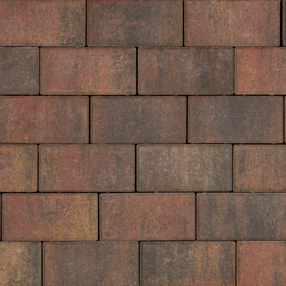 Tremico BKK 21x10,5x7 cm Bont
