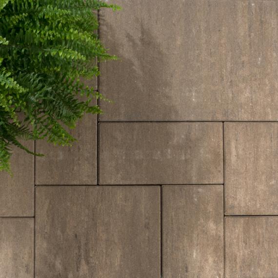Grande Allure wildverband facet type 2 Marmo Mocca