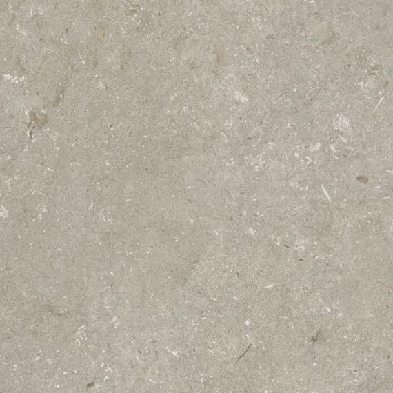 Keramische tegel Shellstone Taupe 60x60x3 cm