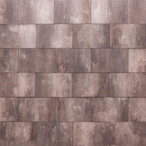 Premiton Plus XXS 30x60x4 cm Tenerife