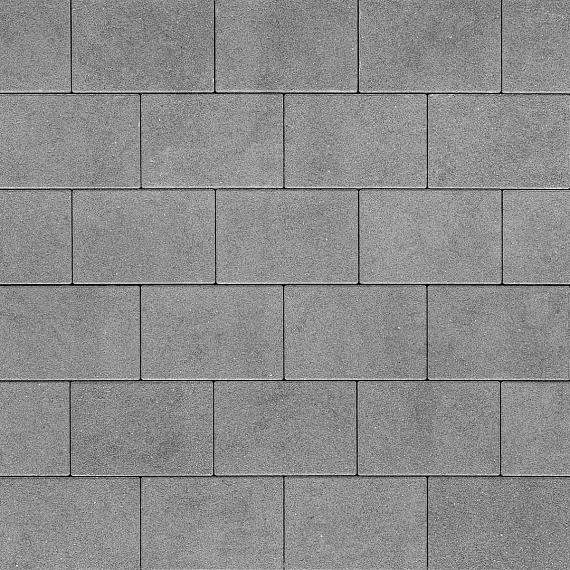 Eliton supreme XL Linea 20x30x8 Mount Vancouver