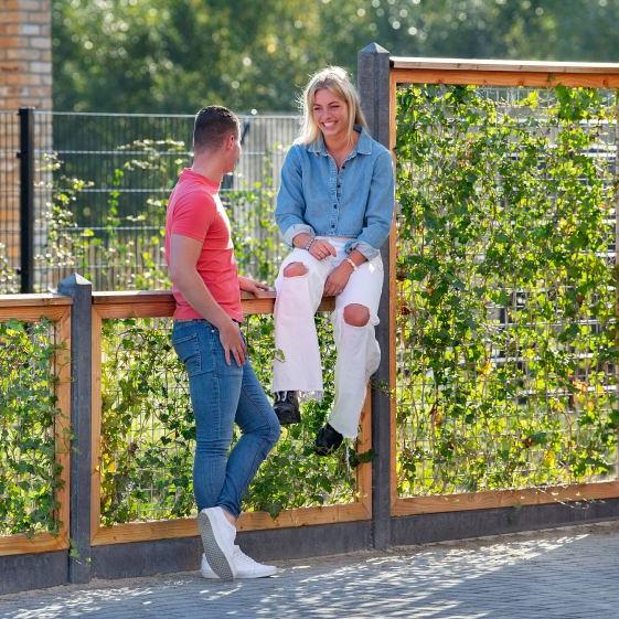 Gaaselement vuurverzinkt maaswijdte 7,5x7,5 cm met robuust kader grenen groen geïmpregneerd 4,4x6,8 