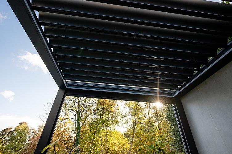 aluxeulatraline cornels leerdam gb 20251024 078 lr