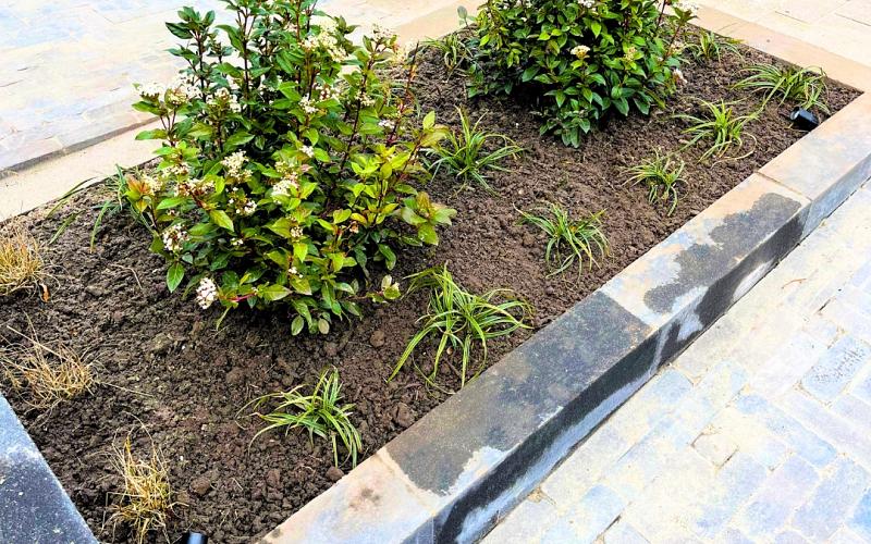 olieman hoveniers  gino van doorn