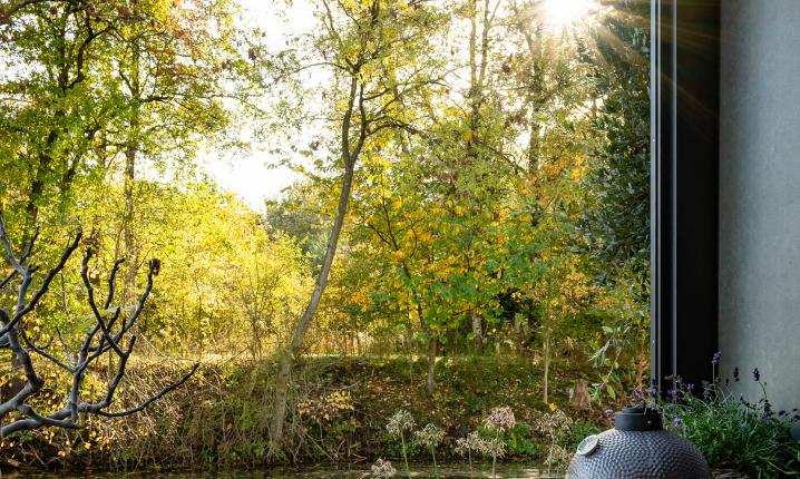 25306 aluxeulatraline cornels leerdam gb 20251024 088 lr