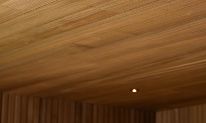 25421 luxe overkapping culemborg gb 20251031 066 lr