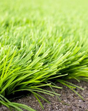 <p>De kwaliteit van alle soorten GSB kunstgras is uitstekend, maar er zijn onderling wel grote verschillen. Deze verschillen zitten niet in materialen van het gras, maar in de lengte van de vezels en de hoeveelheid ervan. Hoe langer de vezels, hoe dikker het kunstgras, hoe meer vezels hoe steviger. Beide eigenschappen zorgen ervoor dat het kunstgras meer op echt gras lijkt.</p>

<p>Hoewel het niet noodzakelijk is om kunstgras met zand in te vegen, heeft het wel degelijk nut. Het zand valt tussen de vezels, waardoor deze beter rechtop blijven staan. Daarnaast is het in sommige gevallen nuttig als extra ballast tegen het opwaaien van de grasmat. Gebruik altijd zand dat speciaal bestemd is voor kunstgras.<br />
De meeste soorten zijn te bestellen in 200 en 400 centimeter breed. Als dit niet breed genoeg is, kunnen verschillende stukken kunstgras naast elkaar gelegd worden. Deze stukken moeten áltijd van dezelfde rol komen en in dezelfde richting gelegd worden, pas hier dus het ontwerp van de tuin op aan.</p>